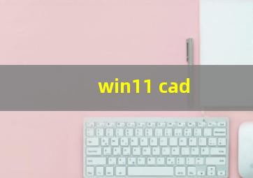 win11 cad